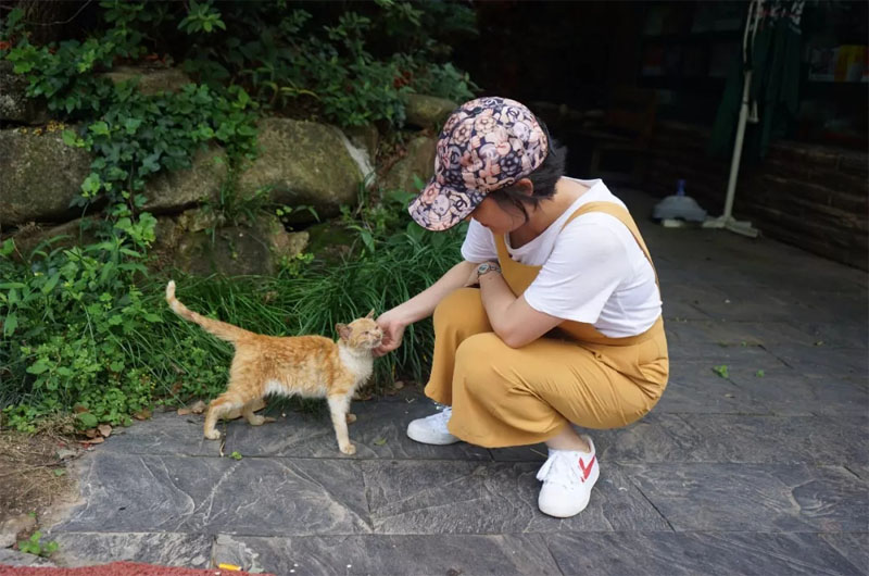 偶遇粘人的小橘猫