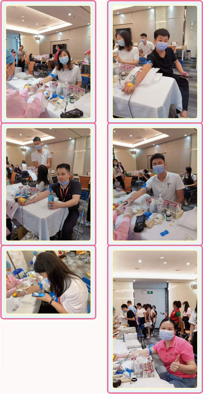 捐献青春热血，彩绘人生画卷——广东博皓总班委组织了一次“捐我热血，呵护生命”的无偿献血公益活动    -3