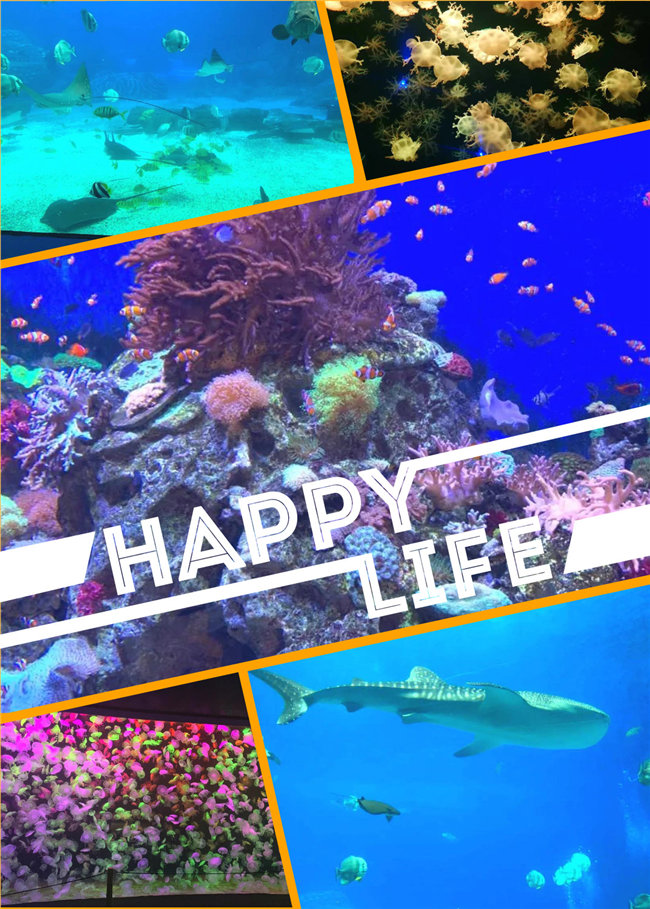 广东博皓亲子游：珠海长隆海洋王国，探索海洋生物的奥秘，奇妙的动物世界