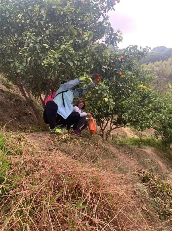 博行天下俱乐部走进从化十登的第二峰-鸡枕山     -18
