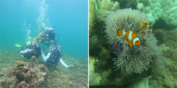 畅游碧海蓝天，共筑团队梦想—博皓沙巴风情之旅        -4