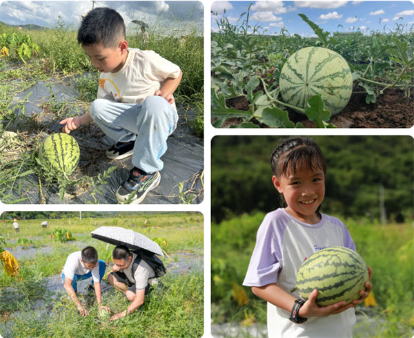 趣游盛夏，一路童行—2024年广东博皓亲子游   -12