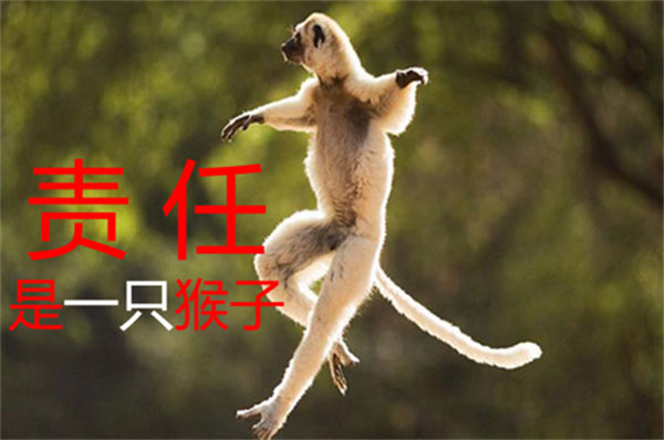 责任是一只猴子