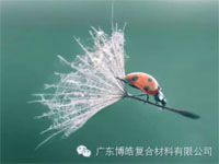 【博皓感悟】成功,要“借力”,不要“尽力” 【博皓感悟】成功,要“借力”,不要“尽力”