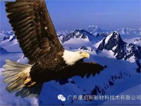 【博皓感悟】鹰的重生 【博皓感悟】鹰的重生