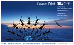 九游网页版登录入口的感想 九游网页版登录入口的感想