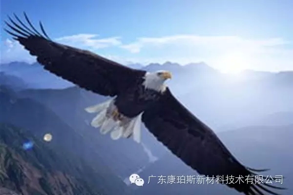 【博皓感悟】鹰的重生-3